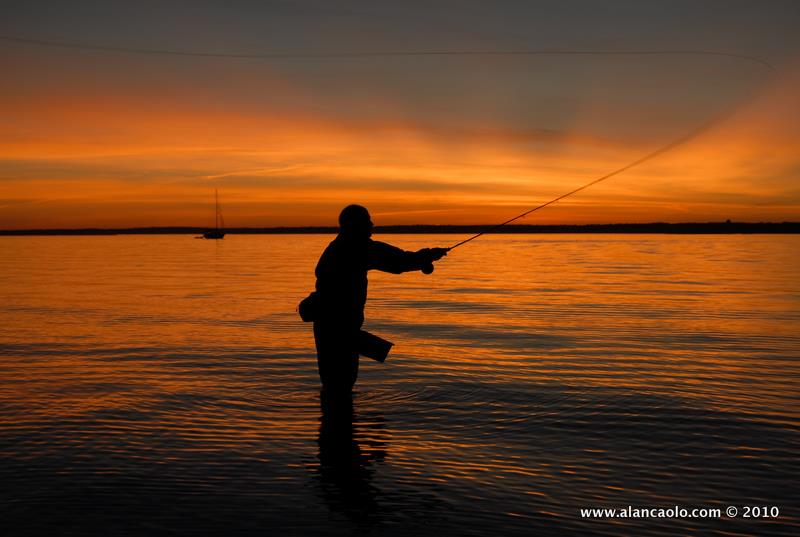 fly fishing photography © 2020 alan caolo