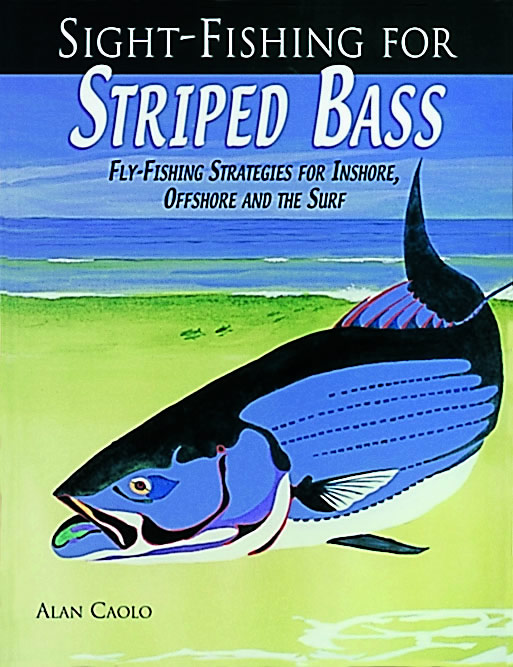 https://alancaolo.com/wp-content/uploads/2011/02/Sight-Fishing-Striped-Bass_alan_caolo.jpg