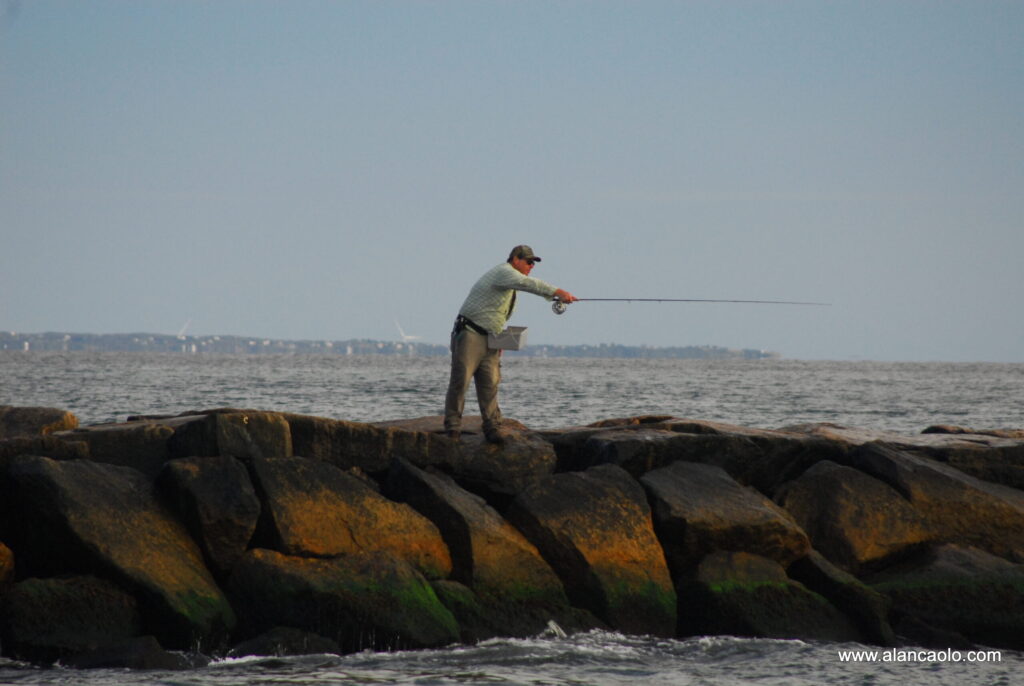 Fly fishing from Jetty